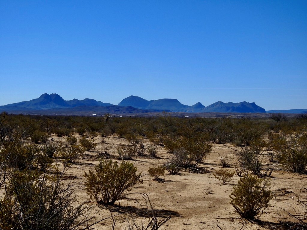 4316 Dale Ernheart Dr, Terlingua, Texas image 18