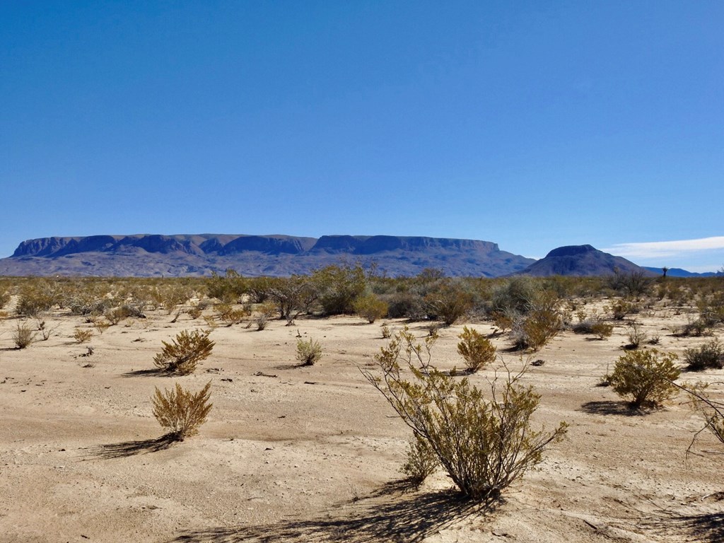 4316 Dale Ernheart Dr, Terlingua, Texas image 16