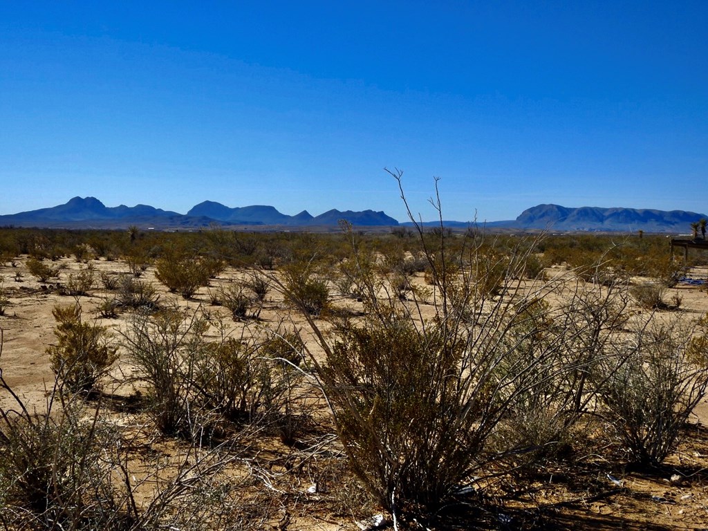 4316 Dale Ernheart Dr, Terlingua, Texas image 17