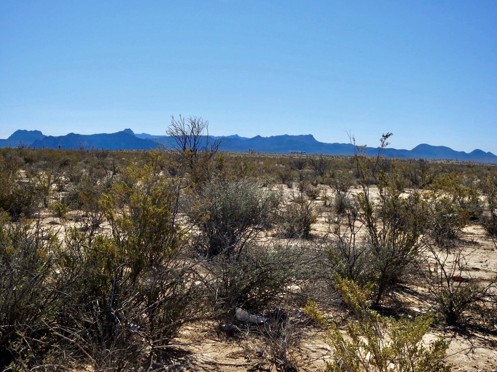 4316 Dale Ernheart Dr, Terlingua, Texas image 13