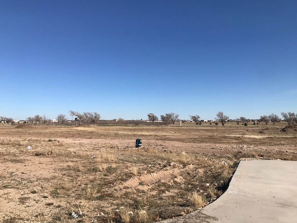 Lot5 TBD N County Road West, Odessa, Texas image 2