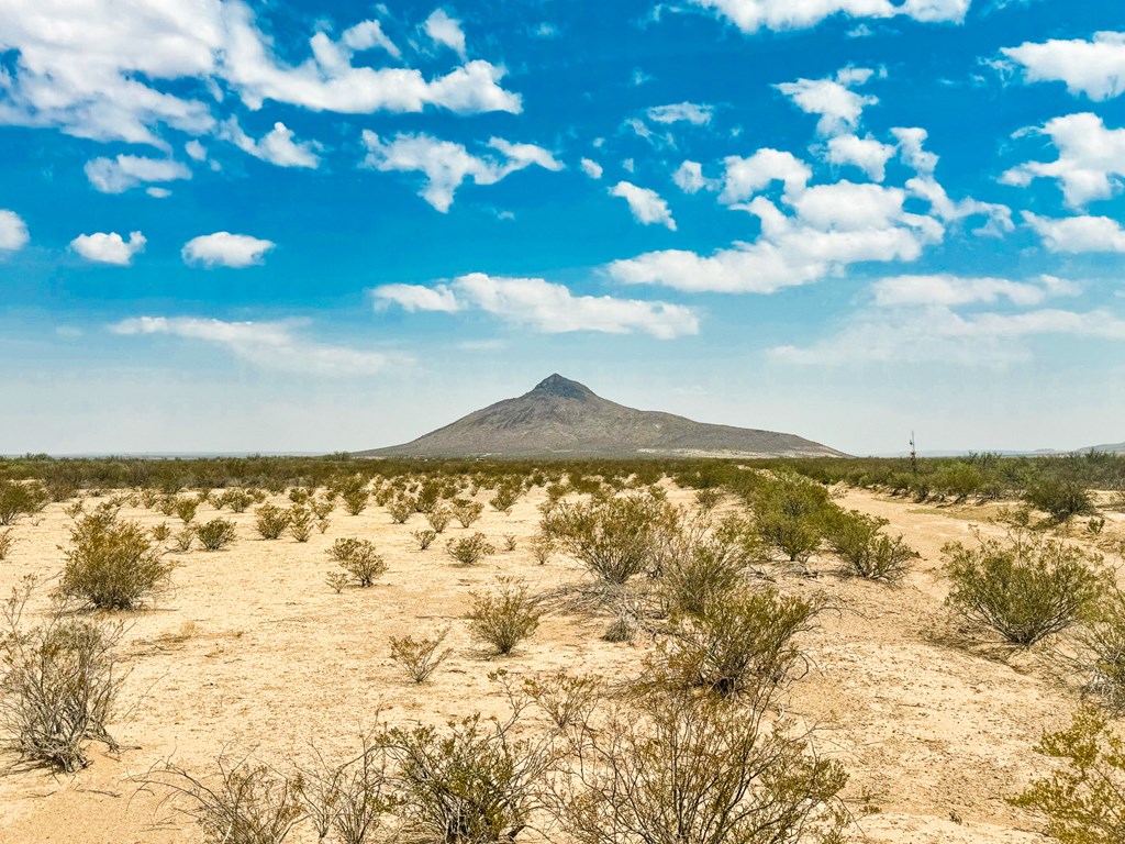 TR G225 Spock Rd #51, Terlingua, Texas image 3