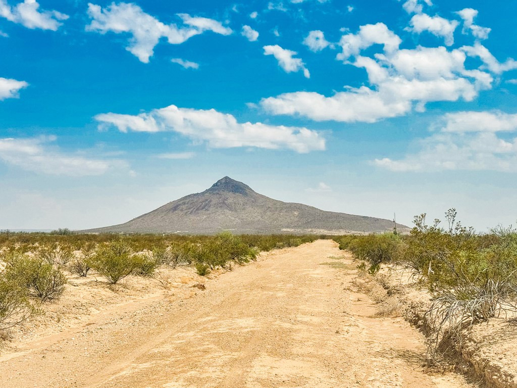 TR G225 Spock Rd #51, Terlingua, Texas image 6