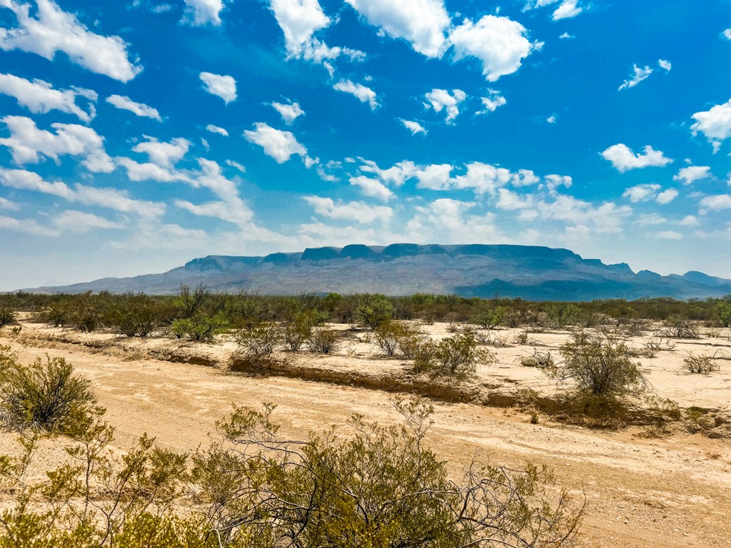 TR G225 Spock Rd #51, Terlingua, Texas image 2