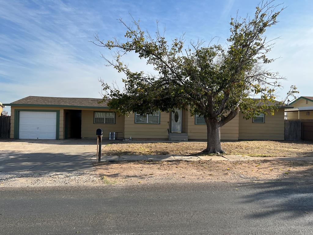 1407 S Mcelroy St, Crane, Texas image 1