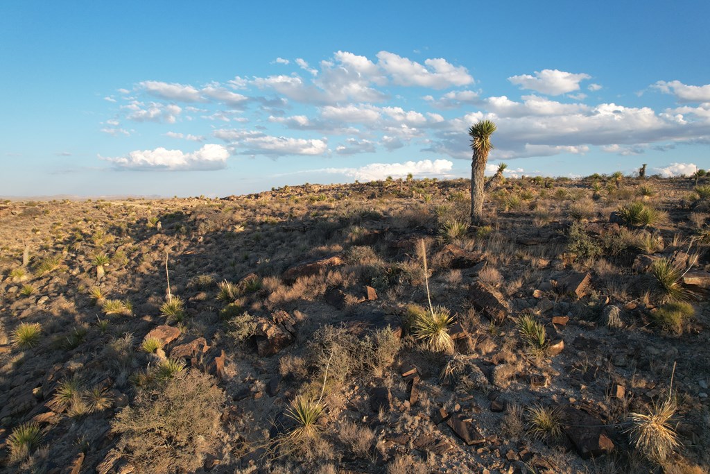 13 Palomino Trail, Sierra Blanca, Texas image 3