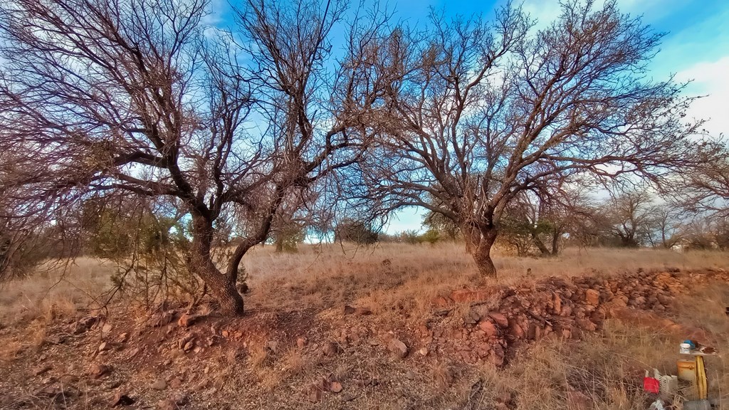 104 Clear View Drive, Fort Davis, Texas image 3