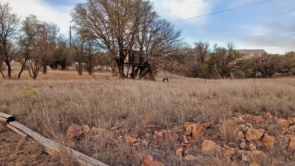 104 Clear View Drive, Fort Davis, Texas image 4