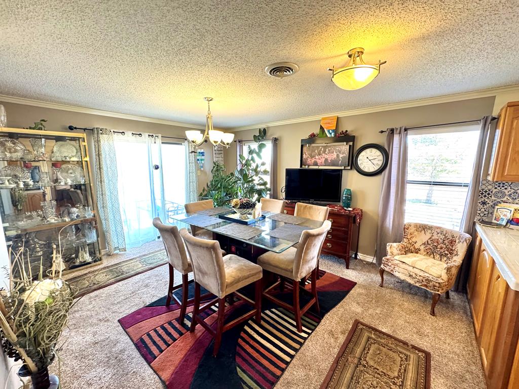 2006 Ceredo Dr, Alpine, Texas image 10