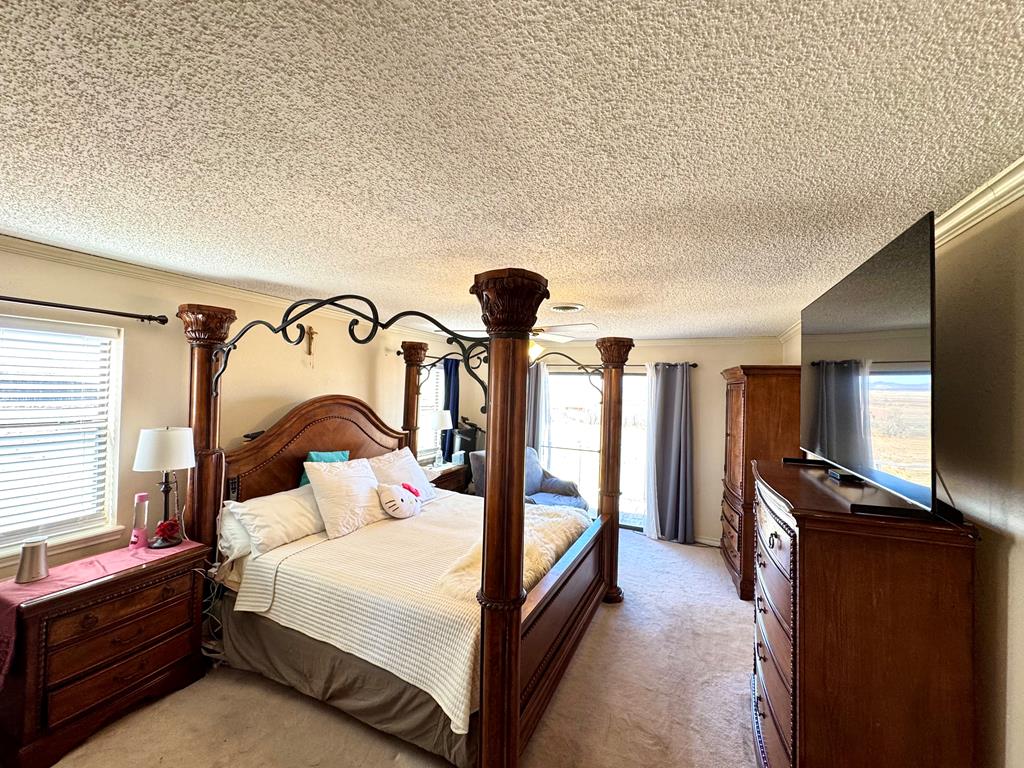2006 Ceredo Dr, Alpine, Texas image 29