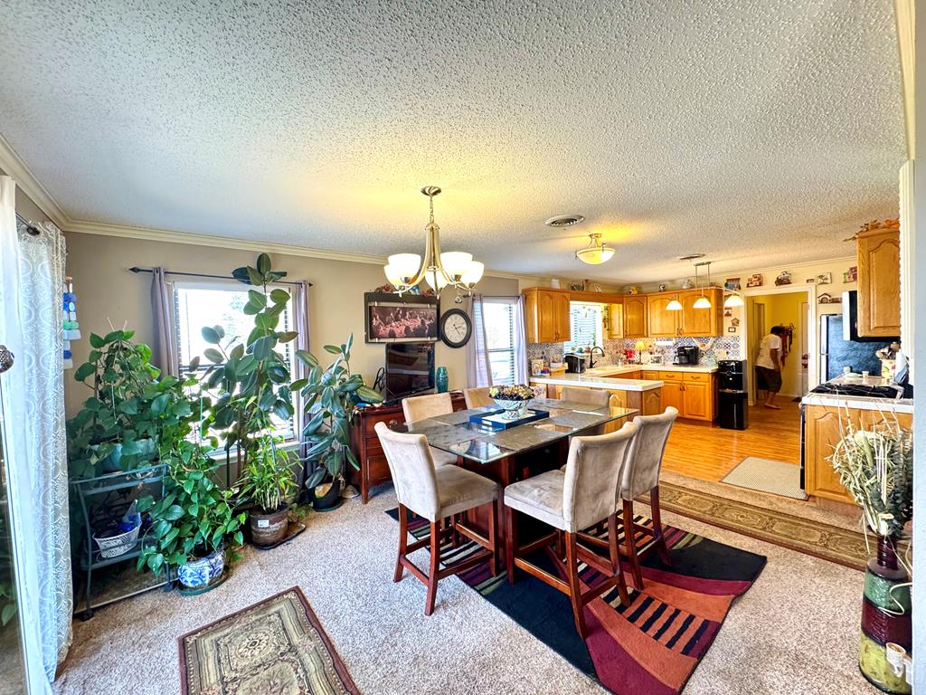 2006 Ceredo Dr, Alpine, Texas image 12