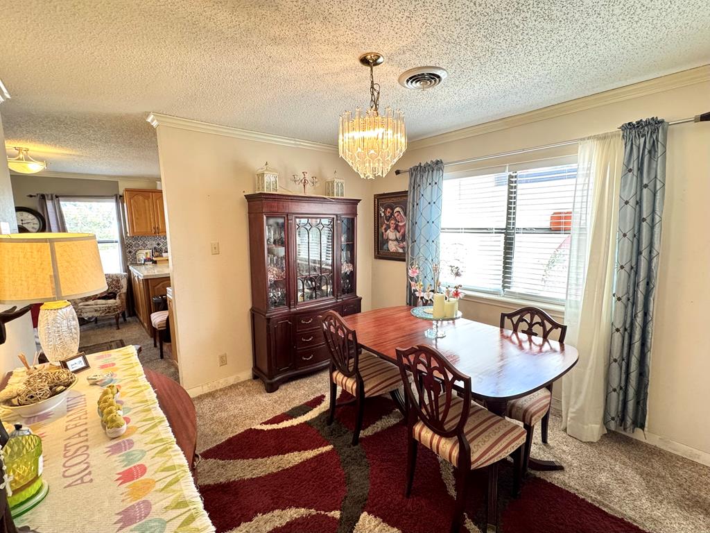 2006 Ceredo Dr, Alpine, Texas image 13