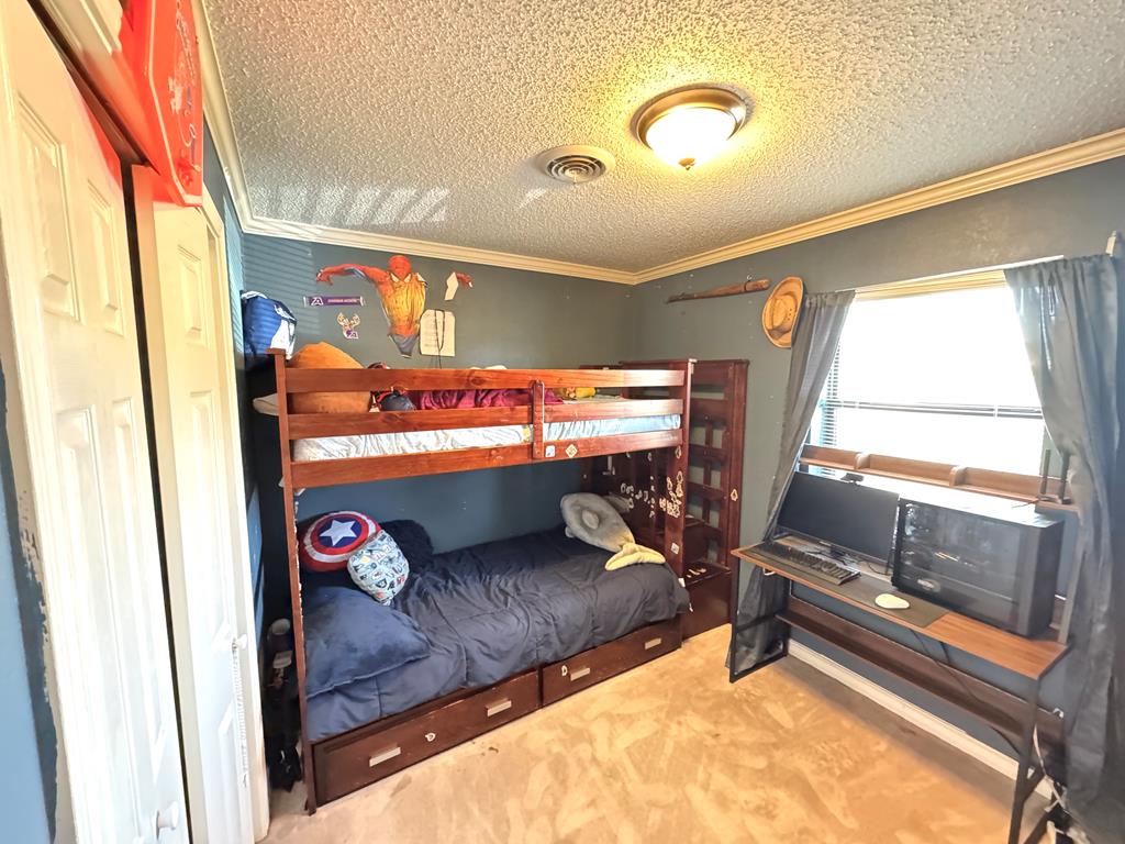 2006 Ceredo Dr, Alpine, Texas image 25