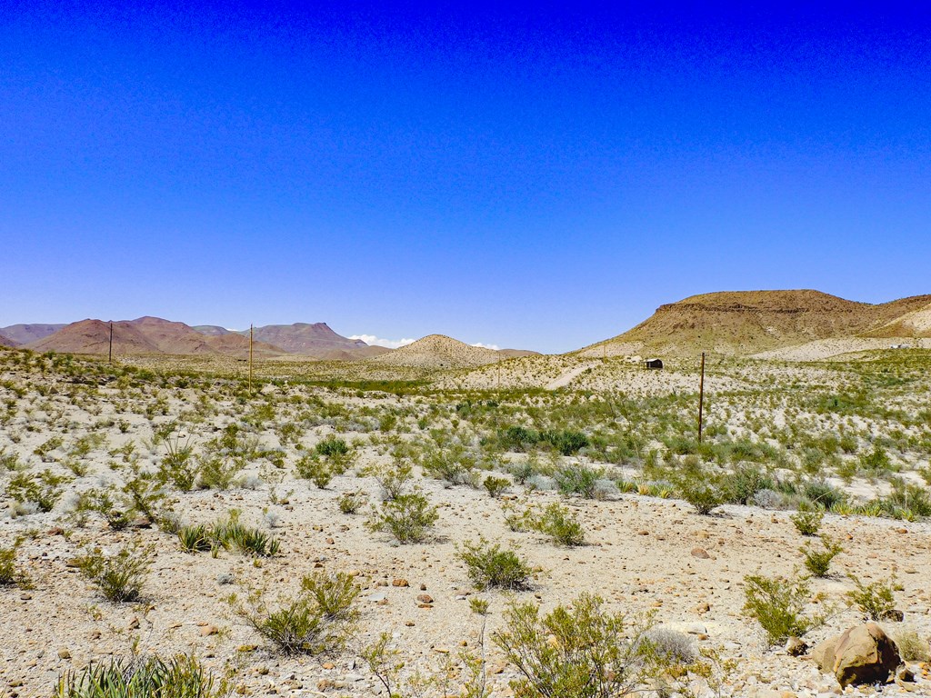 20600 Jackass Rd, Terlingua, Texas image 5