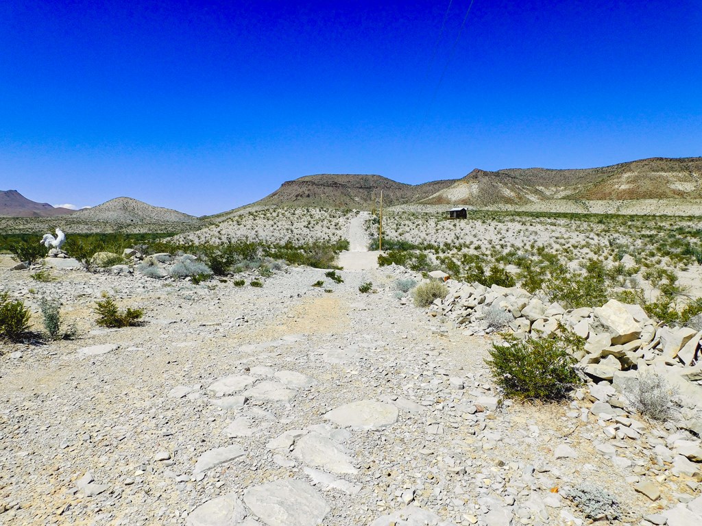 20600 Jackass Rd, Terlingua, Texas image 13