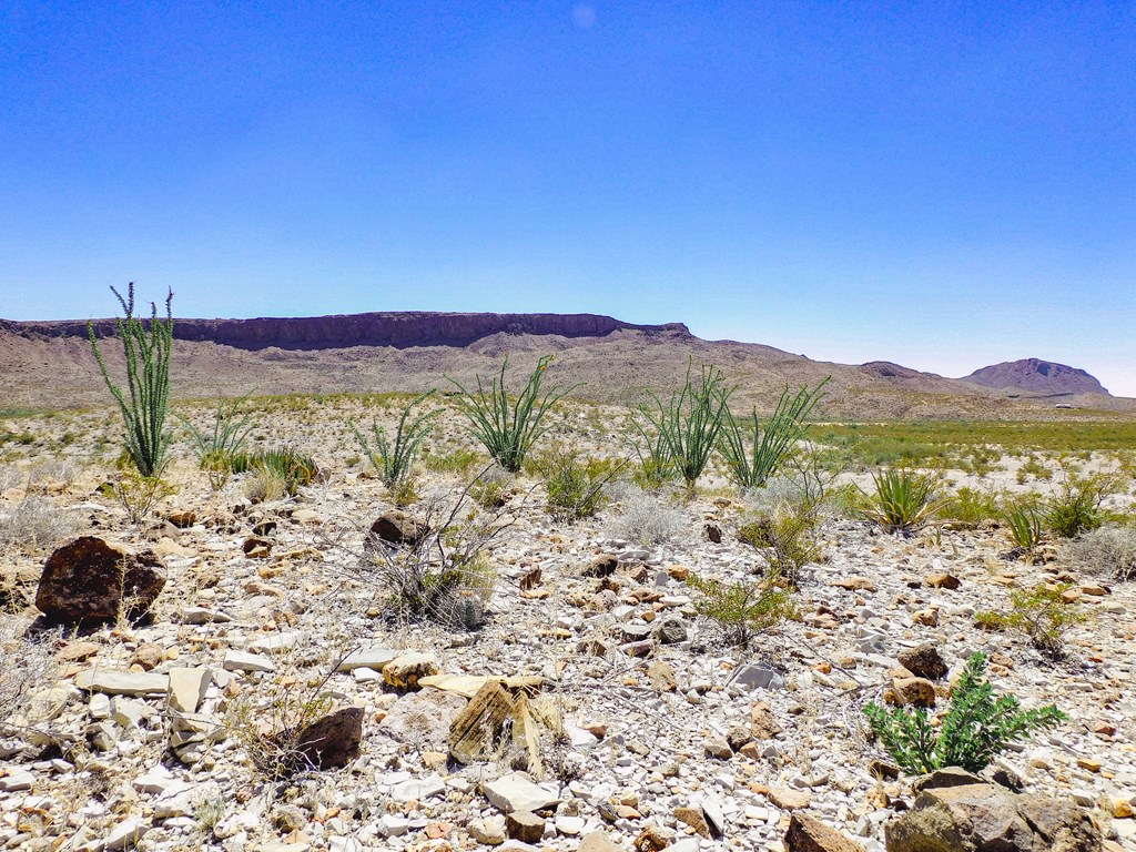 20600 Jackass Rd, Terlingua, Texas image 4