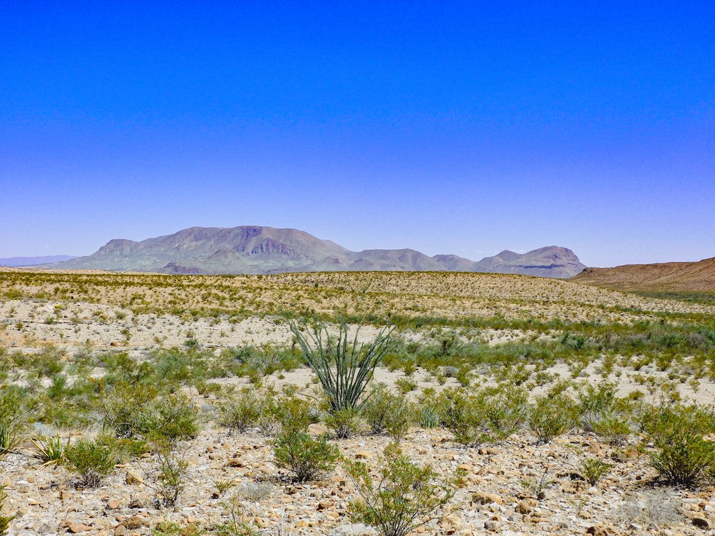 20600 Jackass Rd, Terlingua, Texas image 2