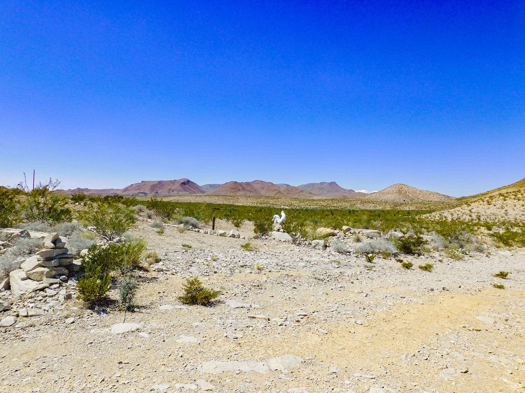 20600 Jackass Rd, Terlingua, Texas image 16