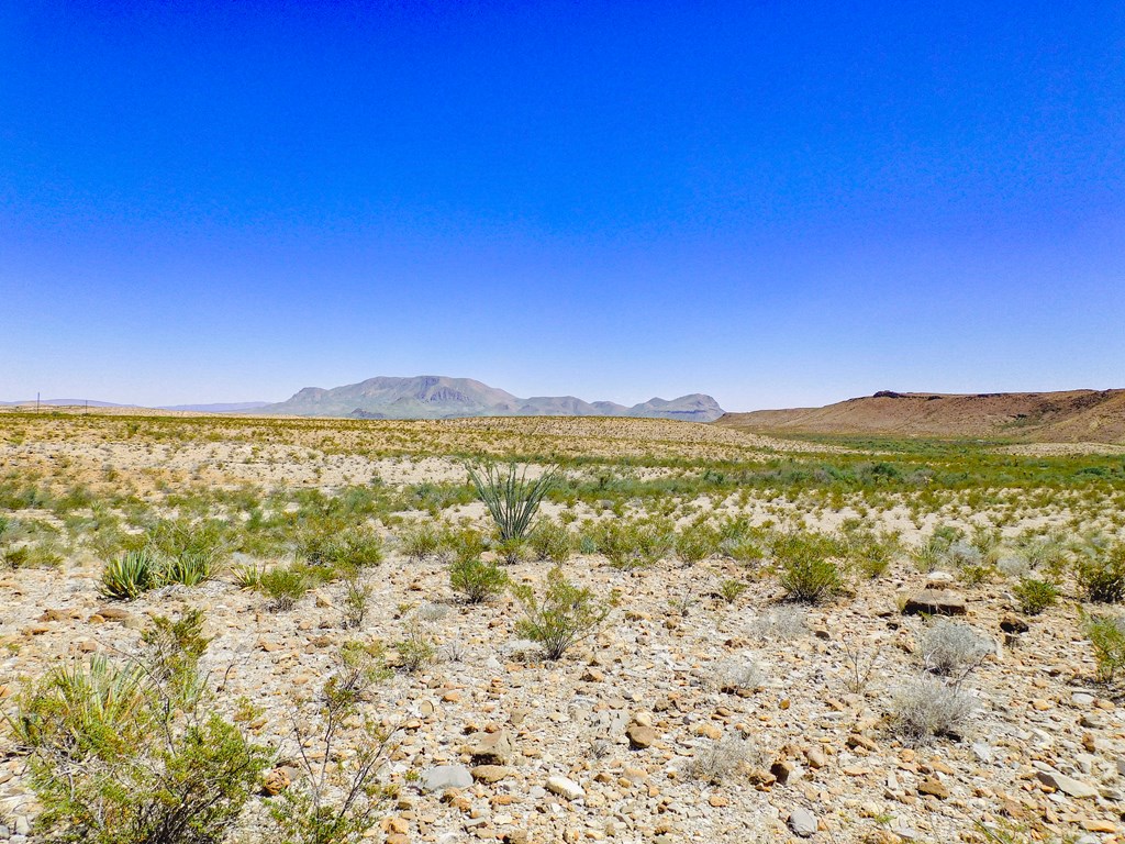 20600 Jackass Rd, Terlingua, Texas image 6