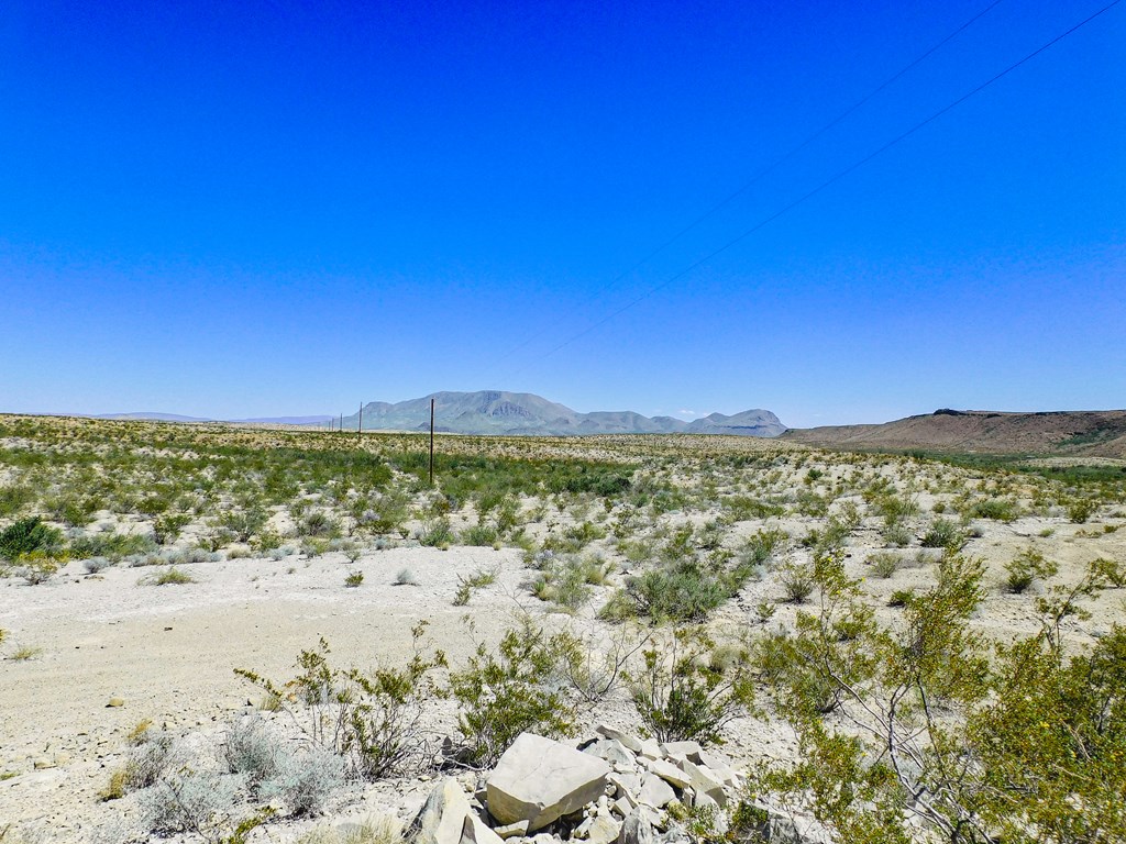 20600 Jackass Rd, Terlingua, Texas image 18