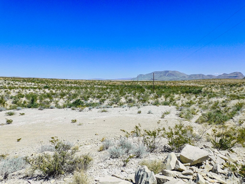 20600 Jackass Rd, Terlingua, Texas image 15