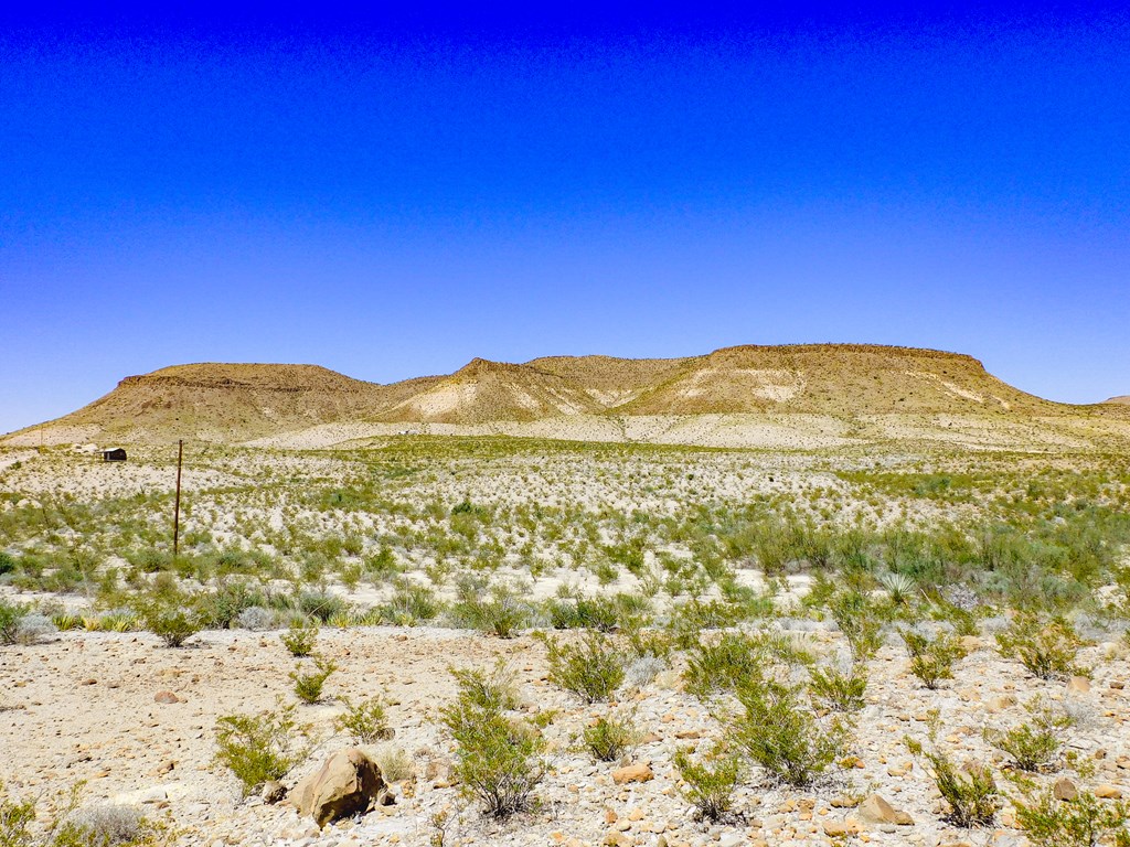 20600 Jackass Rd, Terlingua, Texas image 7