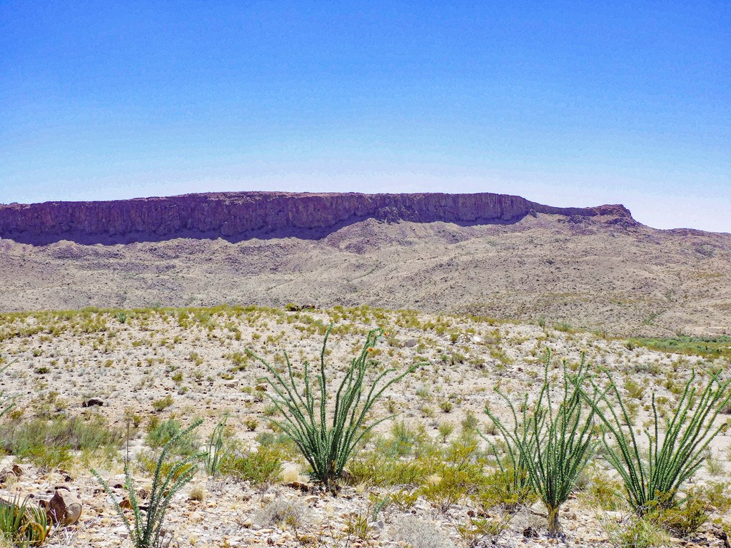 20600 Jackass Rd, Terlingua, Texas image 3