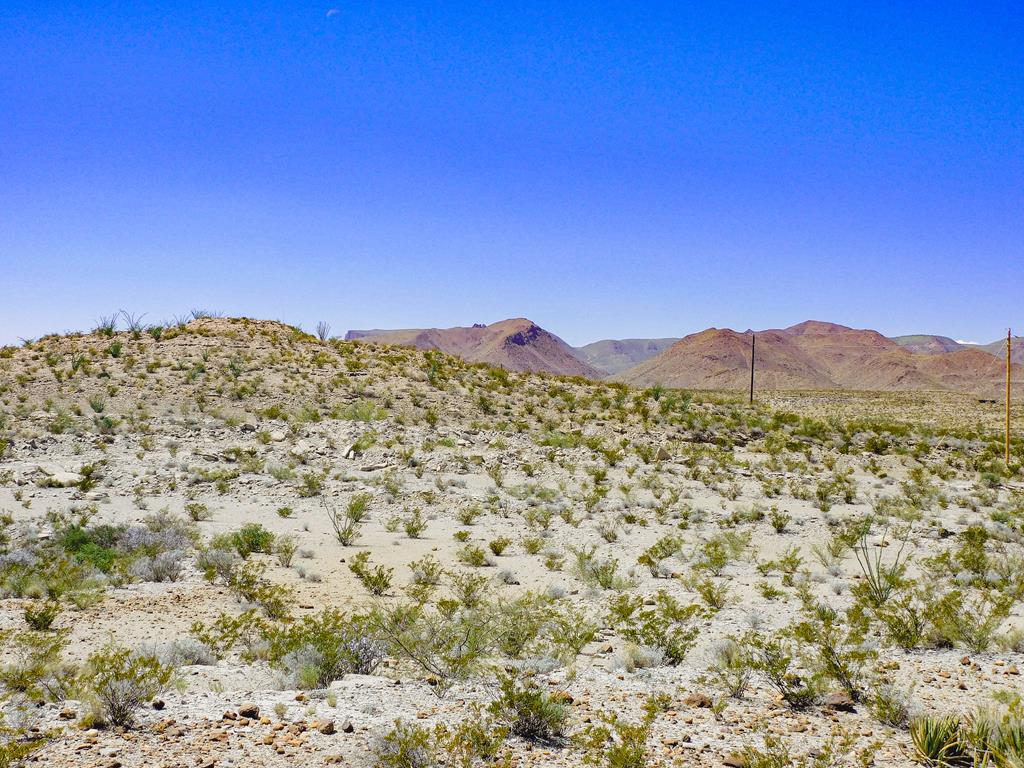 20600 Jackass Rd, Terlingua, Texas image 1