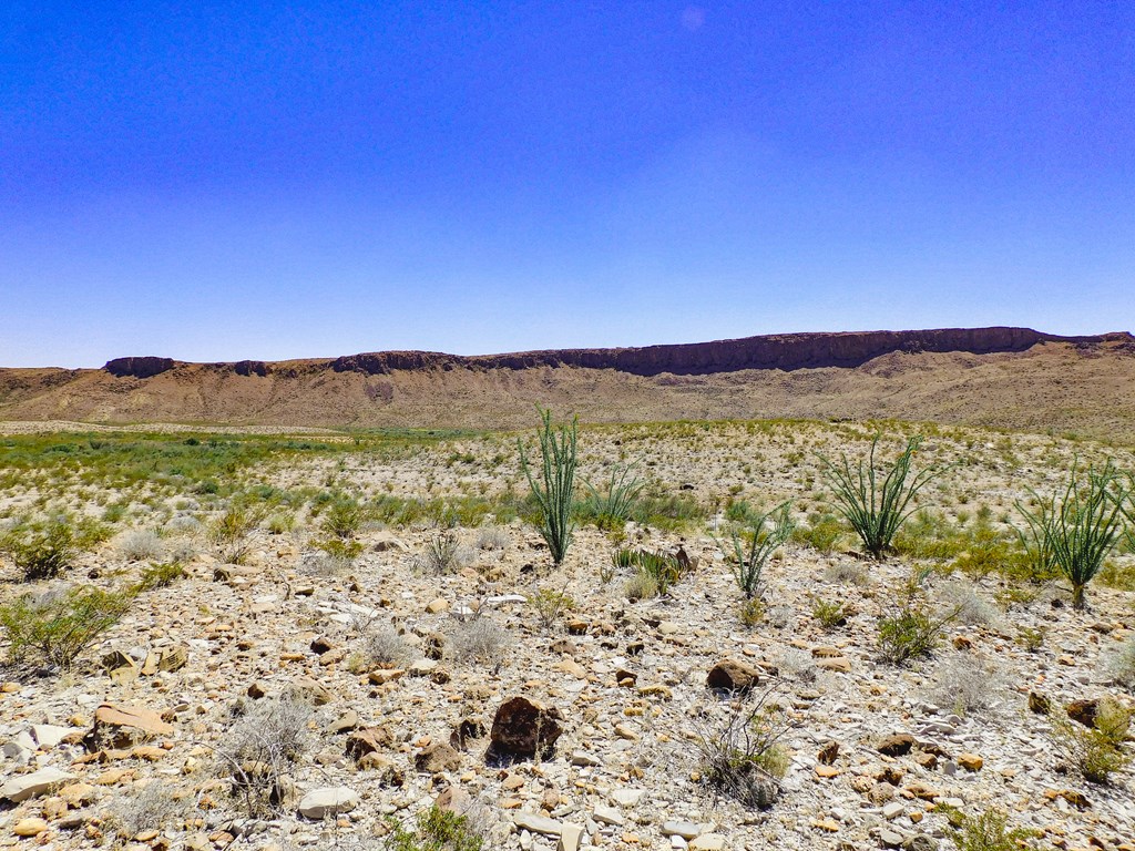 20600 Jackass Rd, Terlingua, Texas image 11