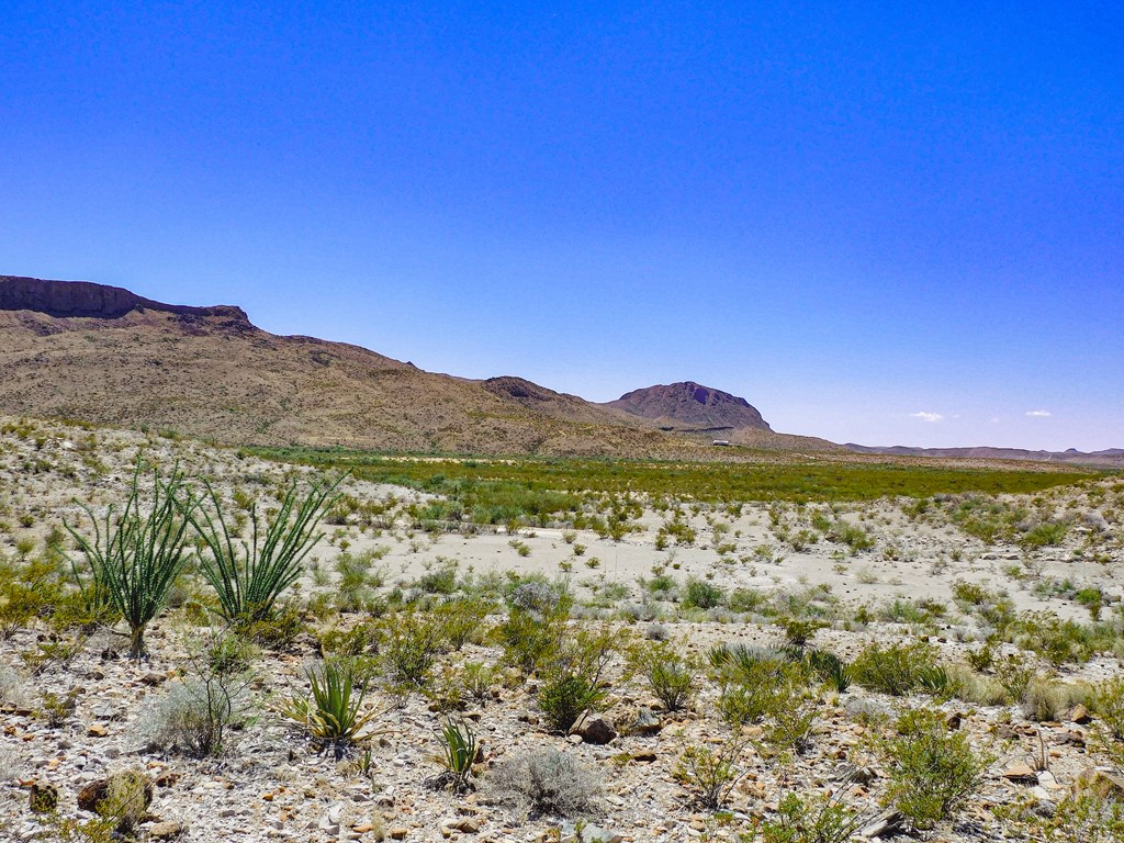 20600 Jackass Rd, Terlingua, Texas image 10