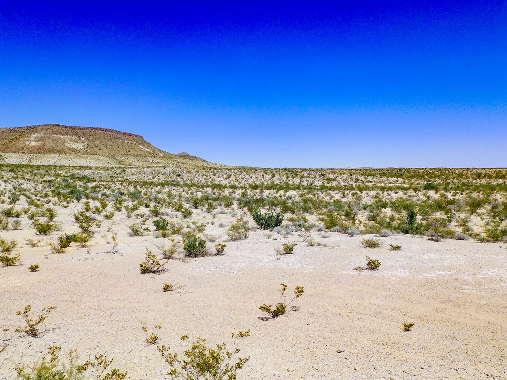 20600 Jackass Rd, Terlingua, Texas image 21