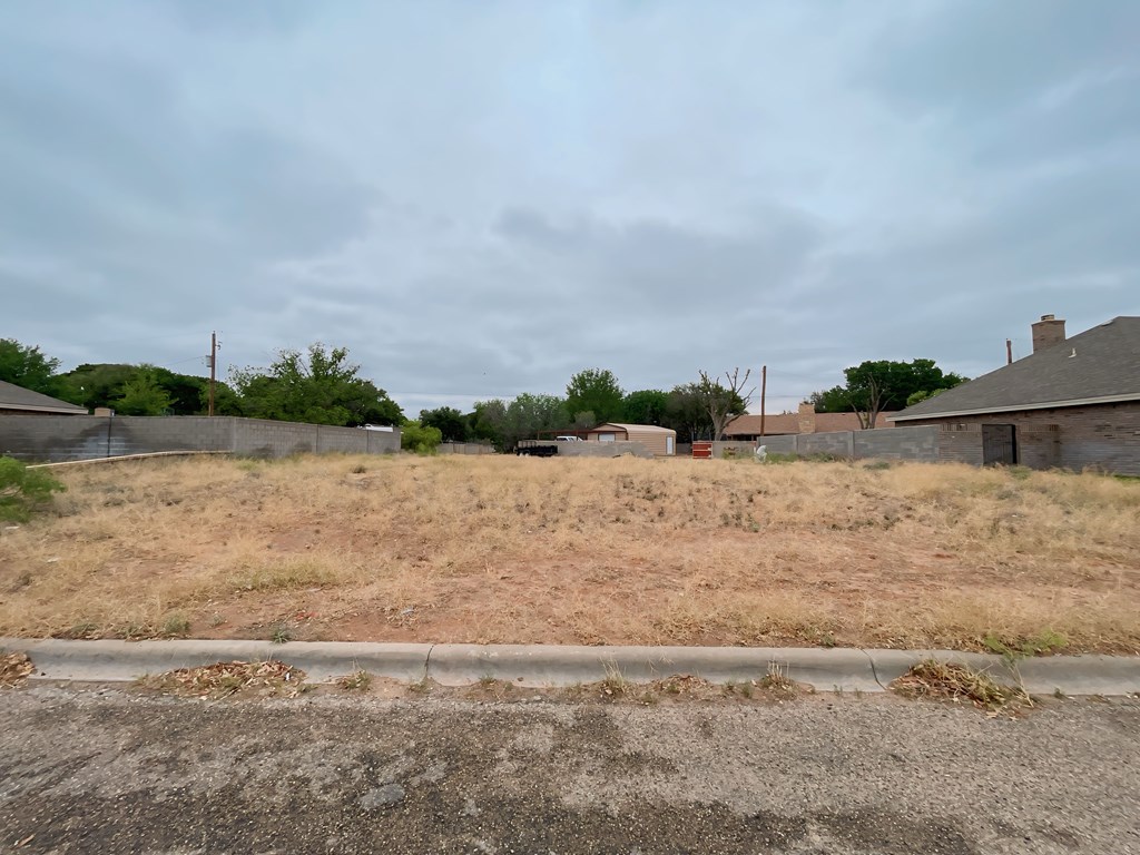 701 E 18th St, Monahans, Texas image 3