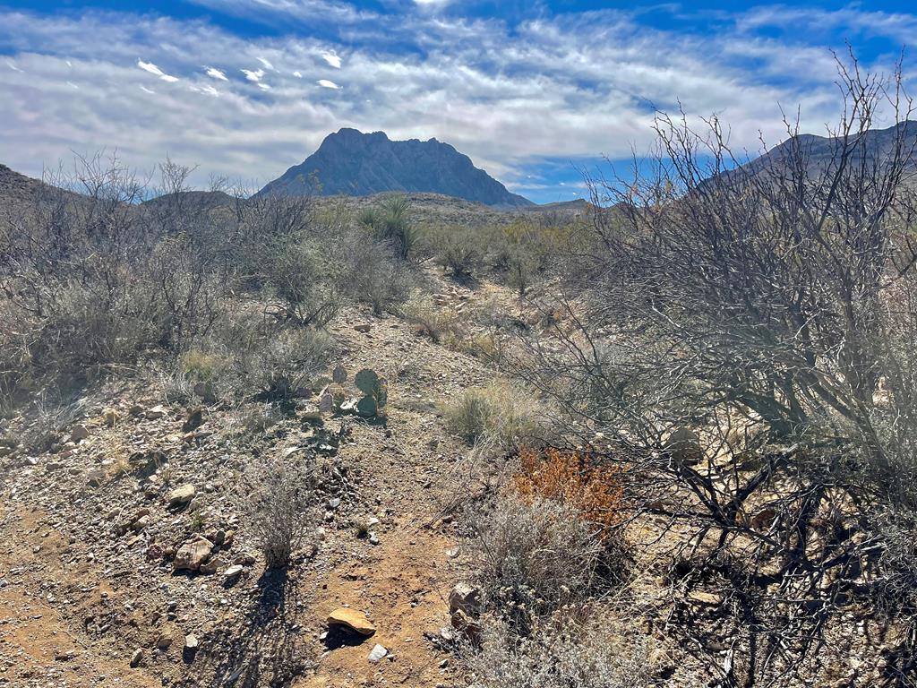 TR 8035 Private Rd, Terlingua, Texas image 1