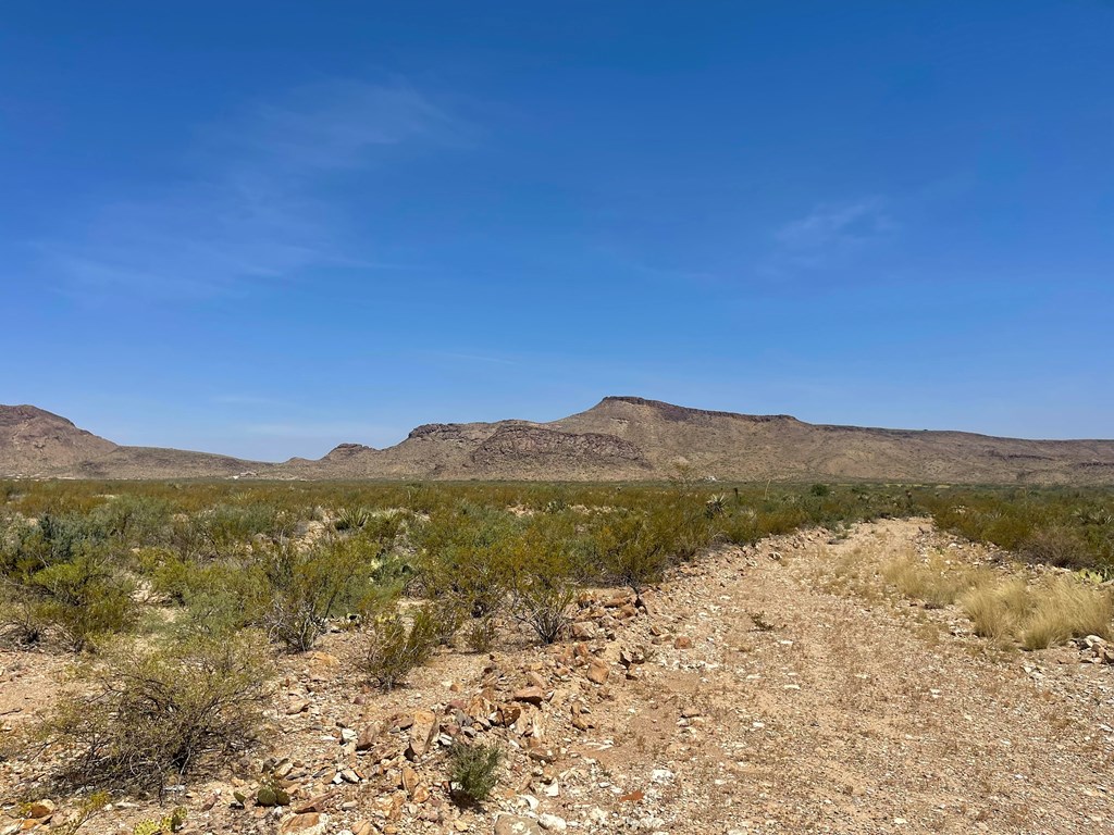 TR 8035 Private Rd, Terlingua, Texas image 19