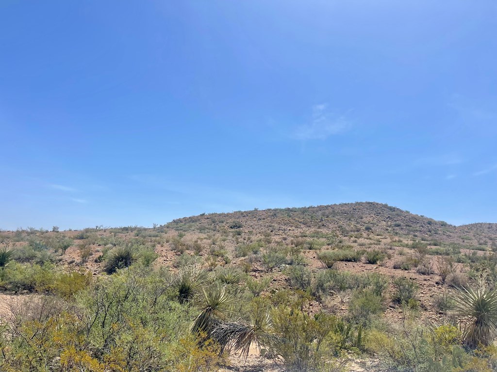 TR 8035 Private Rd, Terlingua, Texas image 20