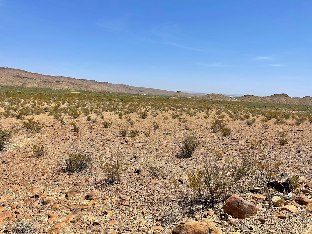 TR 8035 Private Rd, Terlingua, Texas image 12