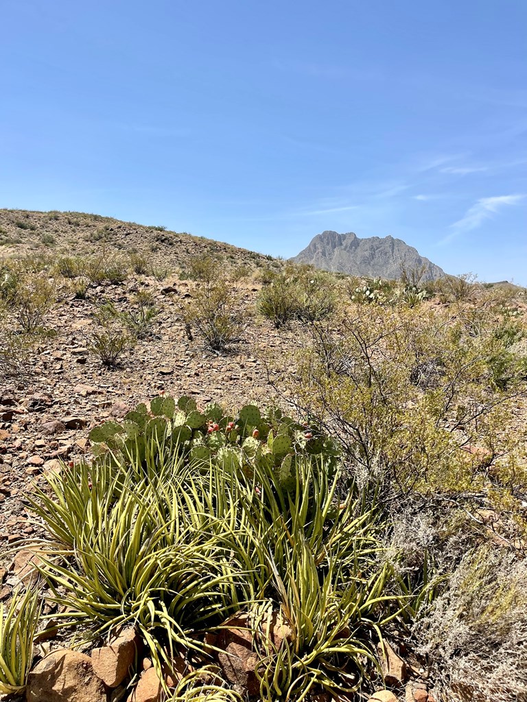 TR 8035 Private Rd, Terlingua, Texas image 4