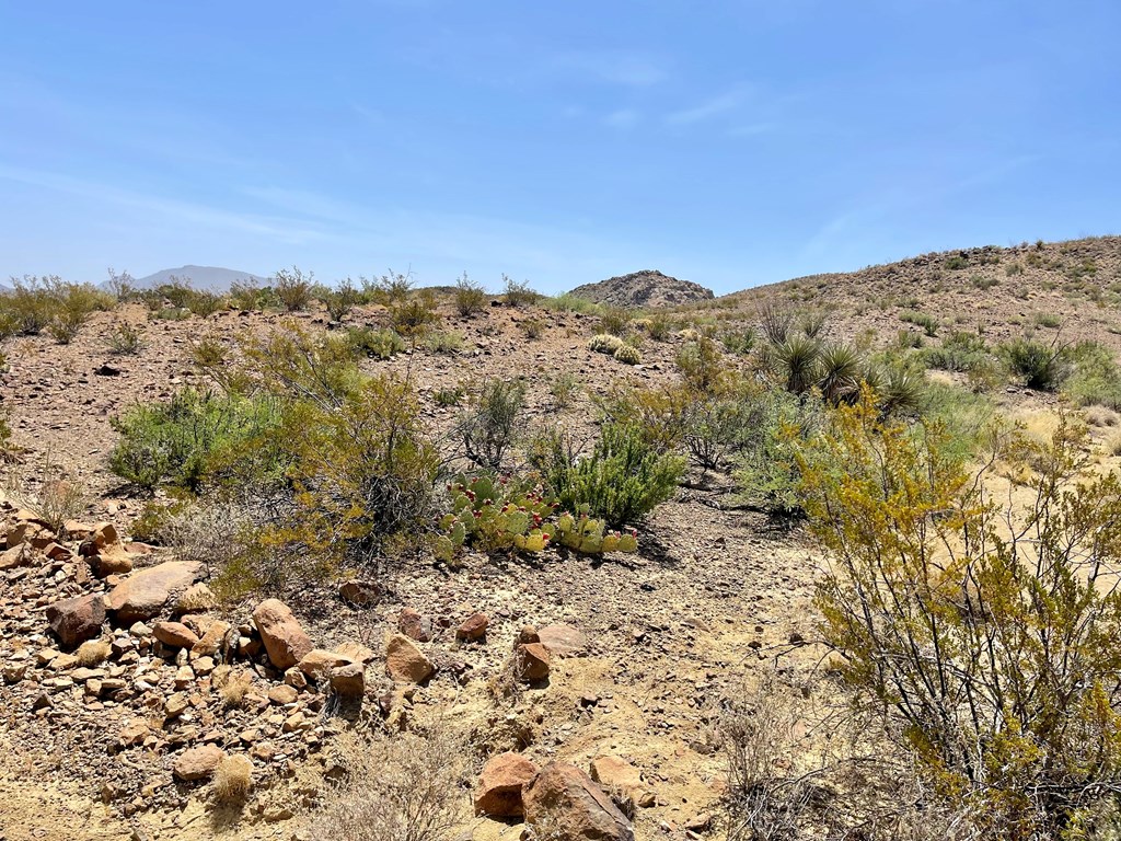 TR 8035 Private Rd, Terlingua, Texas image 6