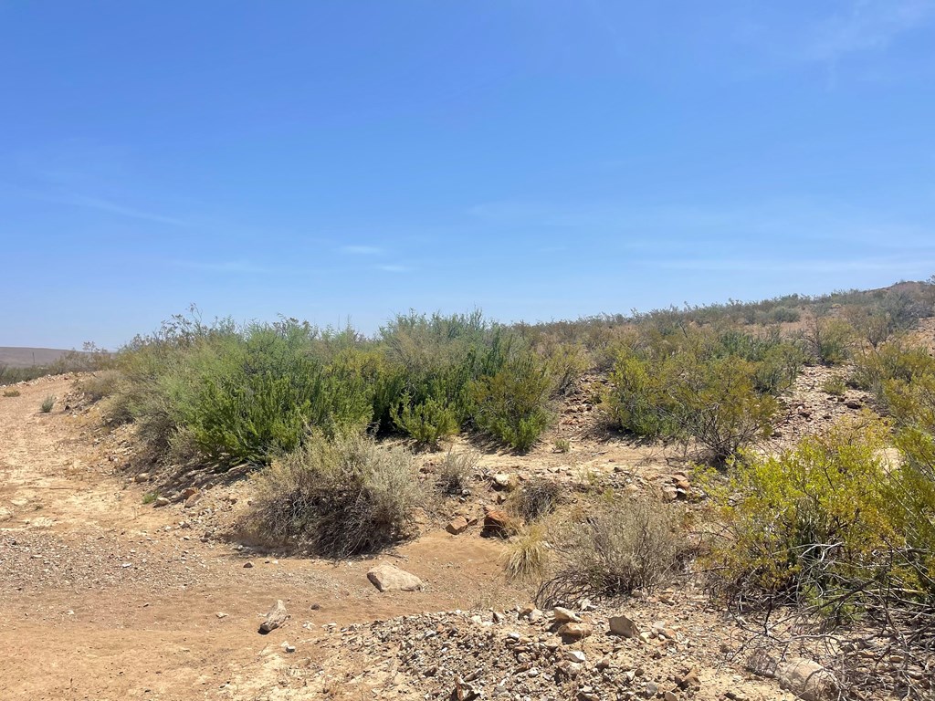 TR 8035 Private Rd, Terlingua, Texas image 16