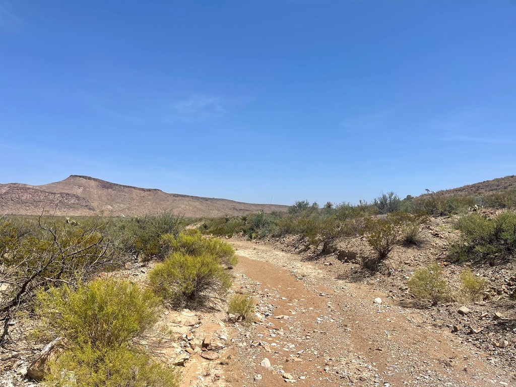 TR 8035 Private Rd, Terlingua, Texas image 23