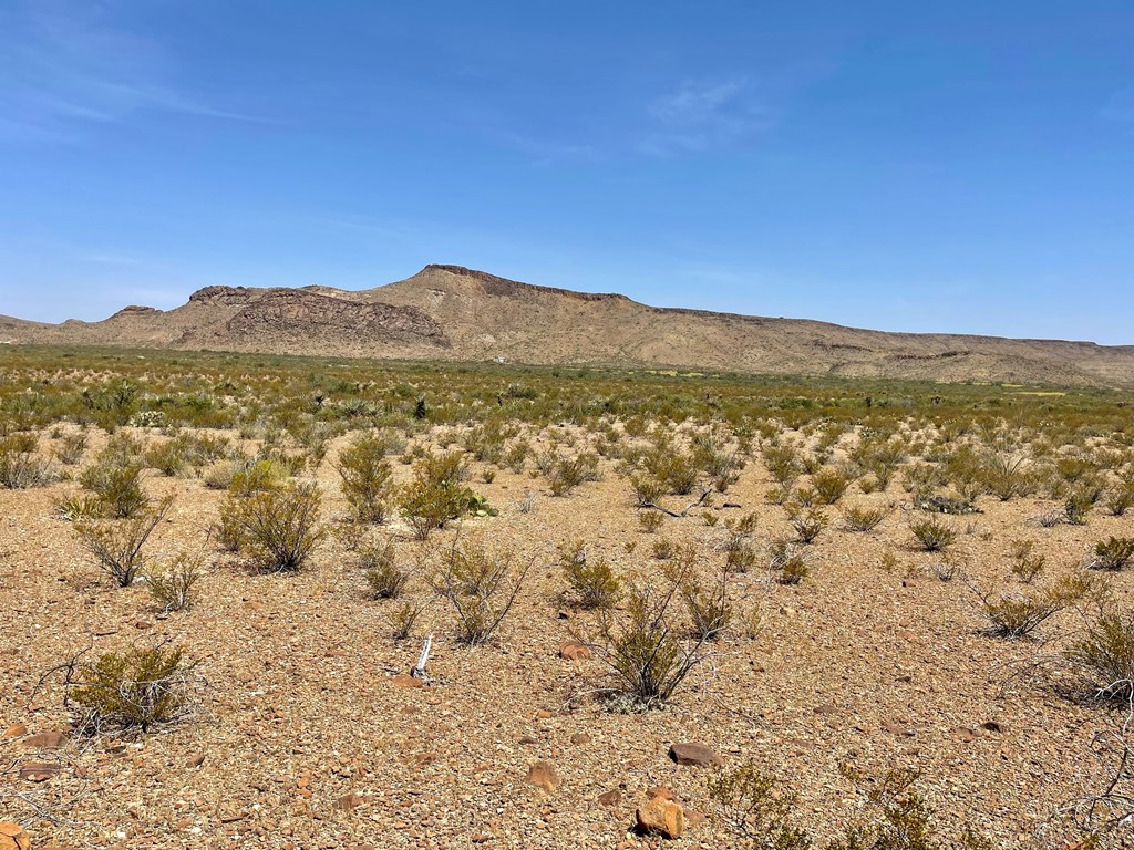 TR 8035 Private Rd, Terlingua, Texas image 13