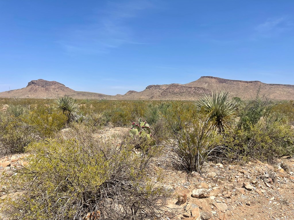 TR 8035 Private Rd, Terlingua, Texas image 18