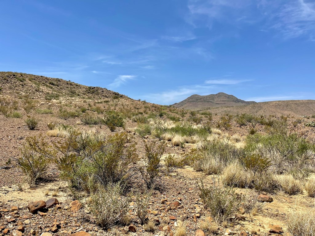 TR 8035 Private Rd, Terlingua, Texas image 8