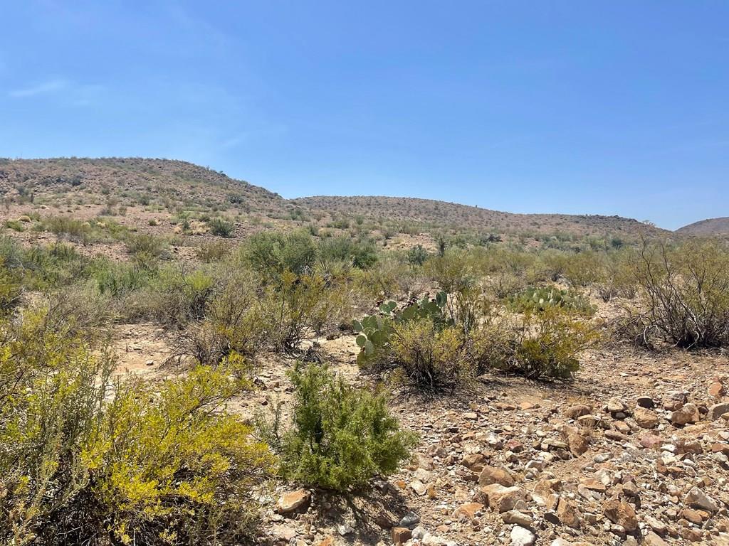 TR 8035 Private Rd, Terlingua, Texas image 26