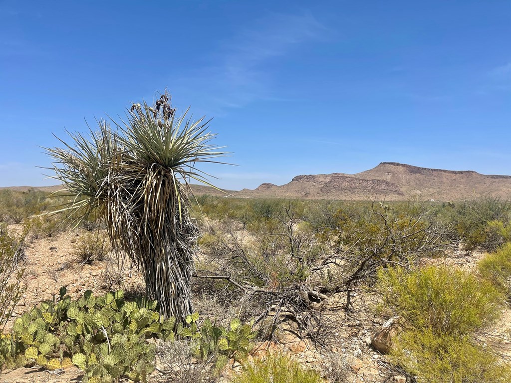 TR 8035 Private Rd, Terlingua, Texas image 22