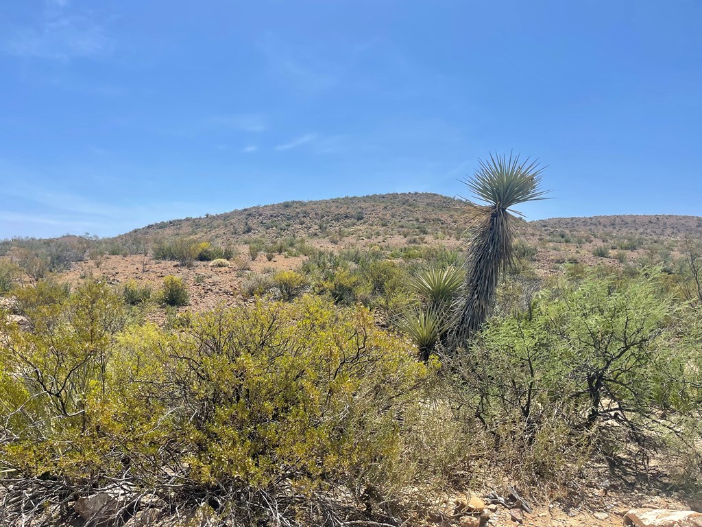 TR 8035 Private Rd, Terlingua, Texas image 17