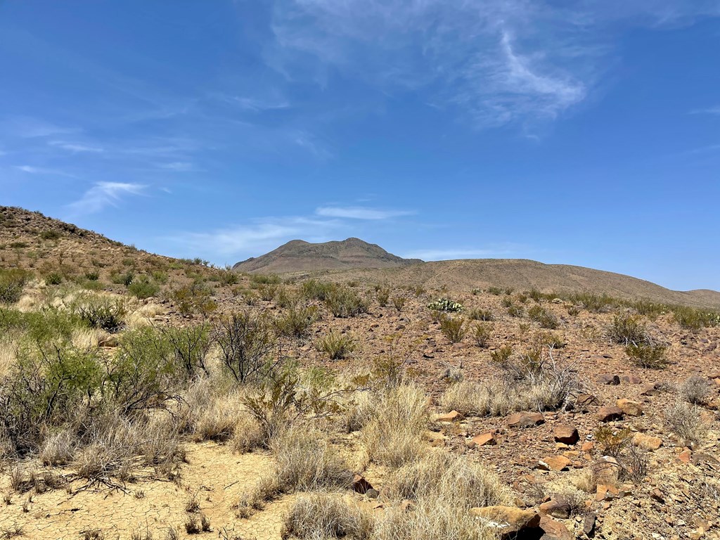 TR 8035 Private Rd, Terlingua, Texas image 9