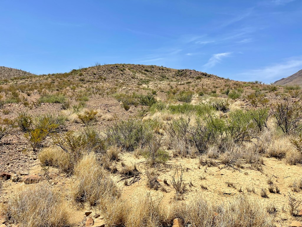 TR 8035 Private Rd, Terlingua, Texas image 11