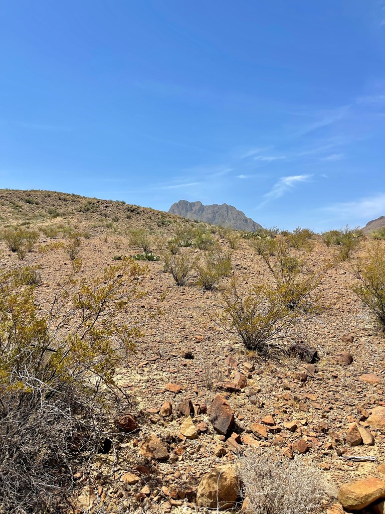 TR 8035 Private Rd, Terlingua, Texas image 7