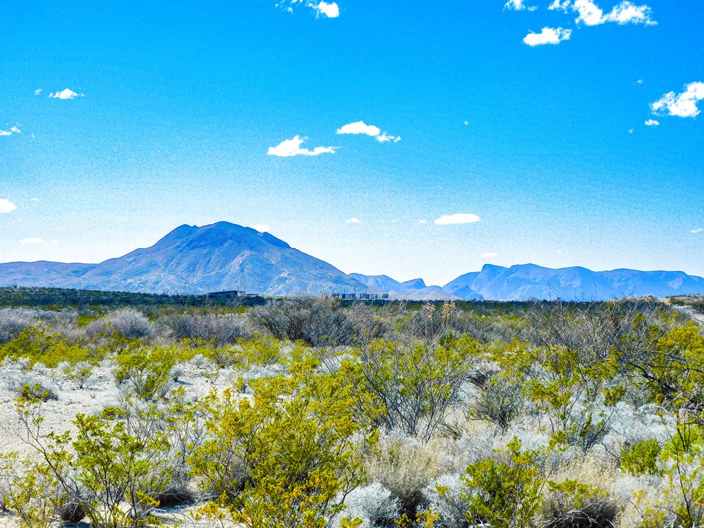 16949 Highlander Rd, Terlingua, Texas image 17